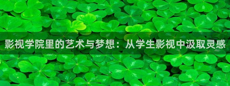 保利万和北碚电影院：影视学院里的艺术与梦想：从学生影视中汲取灵感
