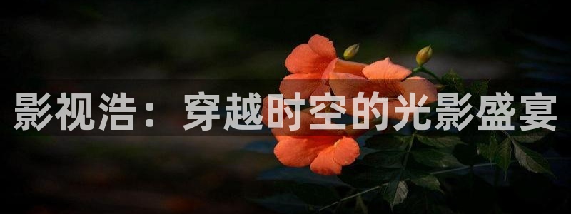 保利中环影城今日电影：影视浩：穿越时空的光影盛宴