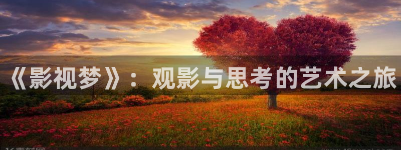 保利万和影城怎么样：《影视梦》：观影与思考的艺术之旅