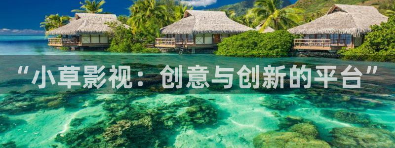 保利广场电影院：“小草影视：创意与创新的平台”