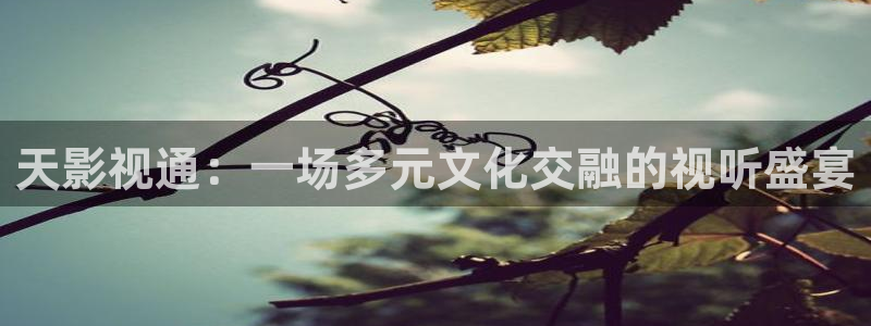保利电影院官网：天影视通：一场多元文化交融的视听盛宴