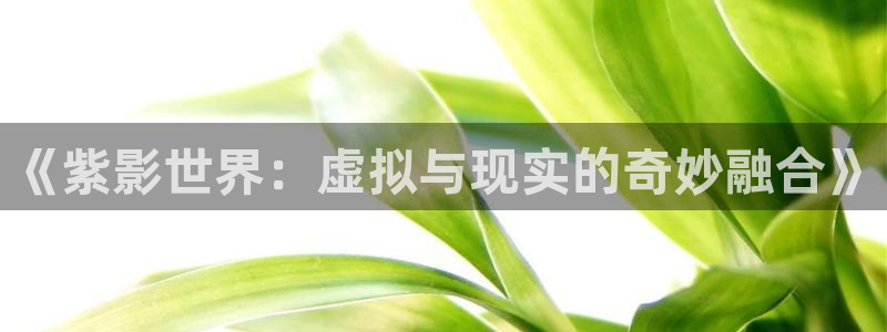 重庆保利电影院：《紫影世界：虚拟与现实的奇妙融合》