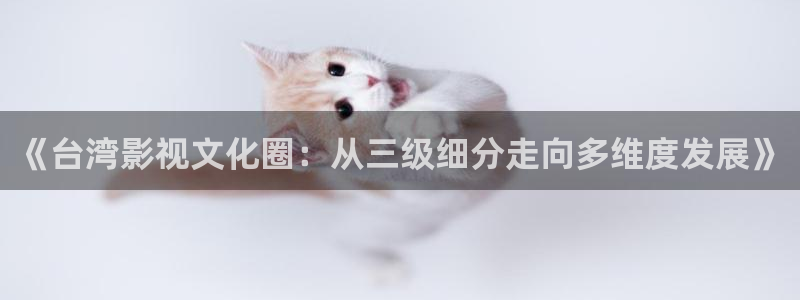 保利影院龙旗广场今日影讯：《台湾影视文化圈：从三级细分走向多维度发展》
