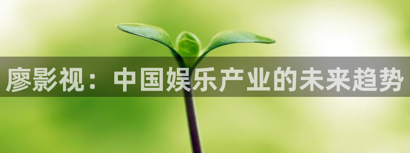 张浦保利国际影城：廖影视：中国娱乐产业的未来趋势
